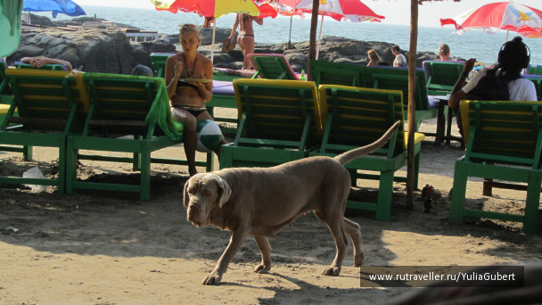 photo 1120550