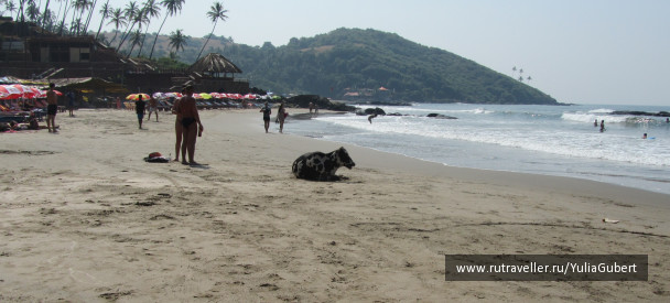 photo 1120561