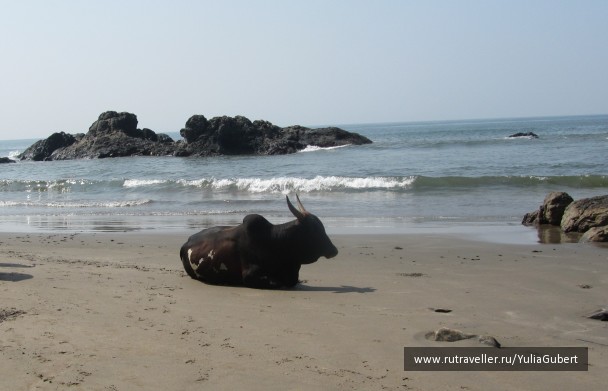 photo 1120562