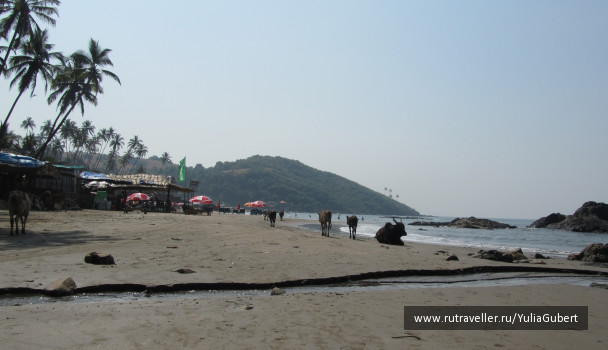 photo 1120563