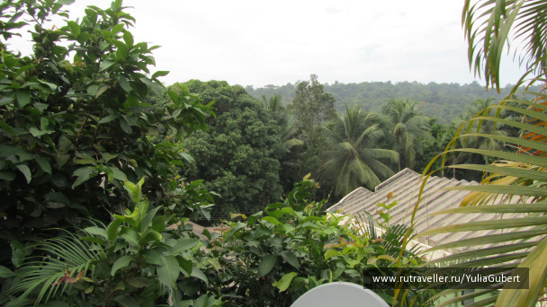 photo 1119725