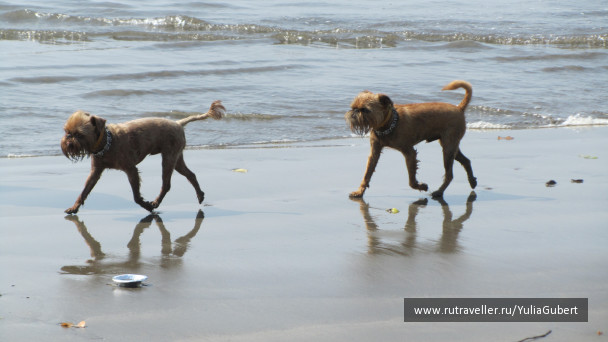 photo 1120967