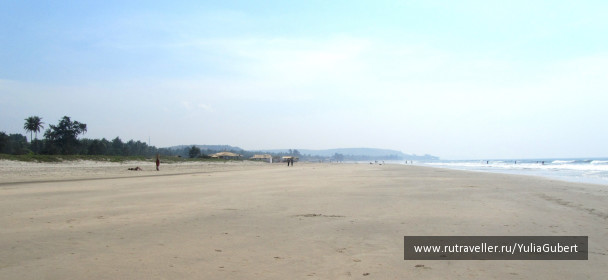 photo 1120995
