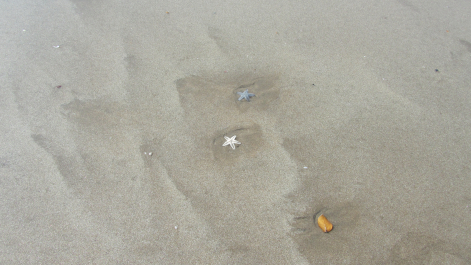 photo 1120998