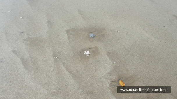 photo 1120998