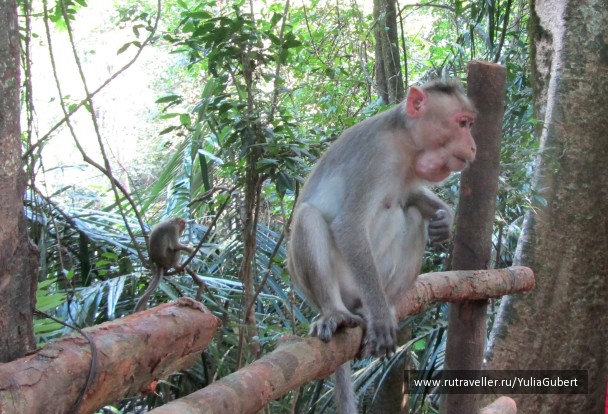 photo 1120124