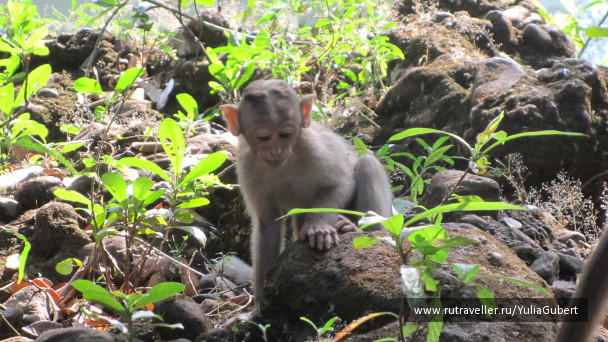 photo 1120129