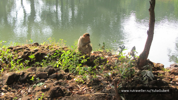photo 1120130