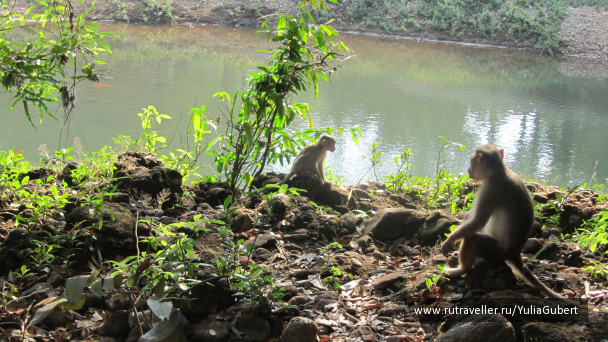 photo 1120131