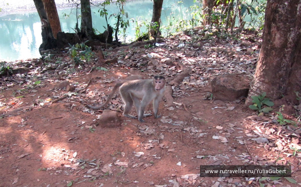 photo 1120136