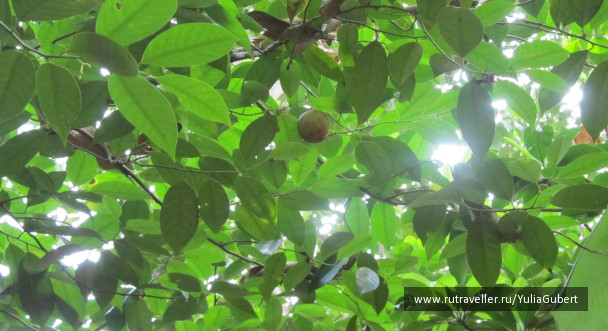 photo 1120159