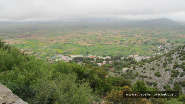photo 1125342