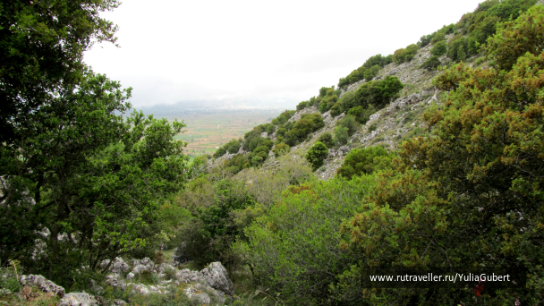 photo 1125344