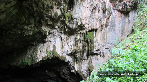 photo 1125358