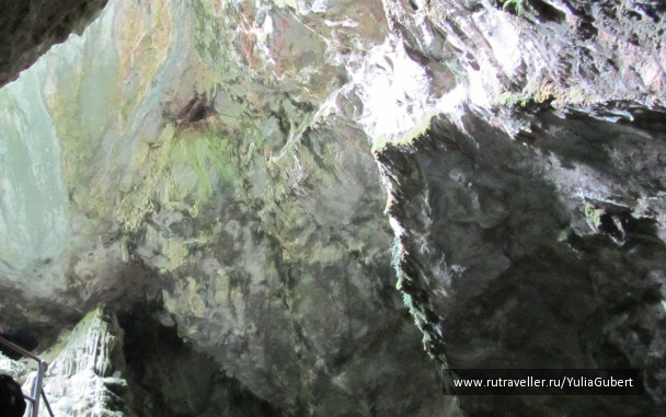 photo 1125360