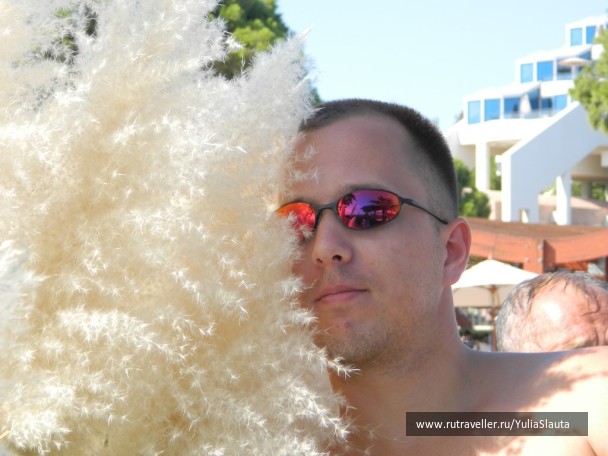 photo 40595