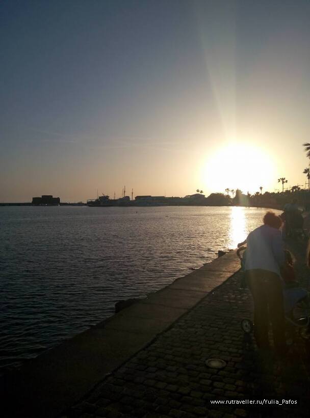 photo 1316529