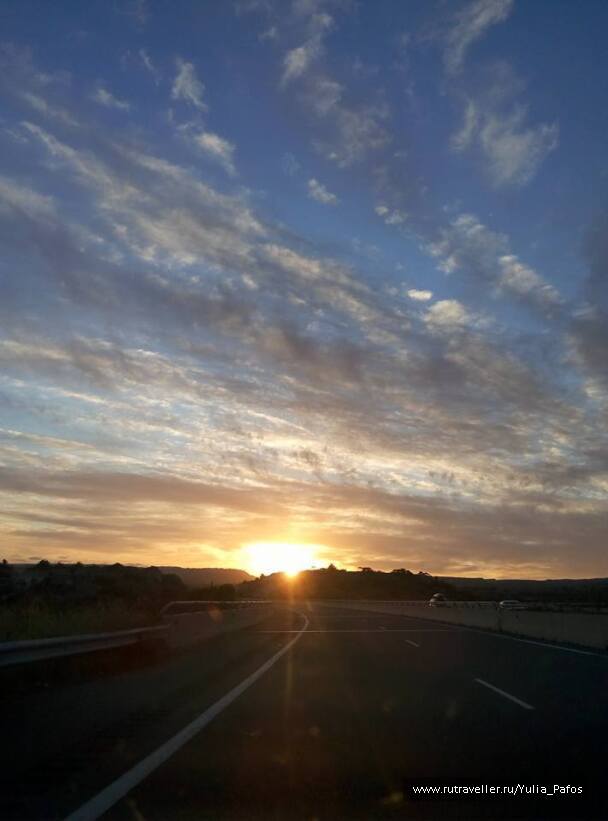 photo 1316531