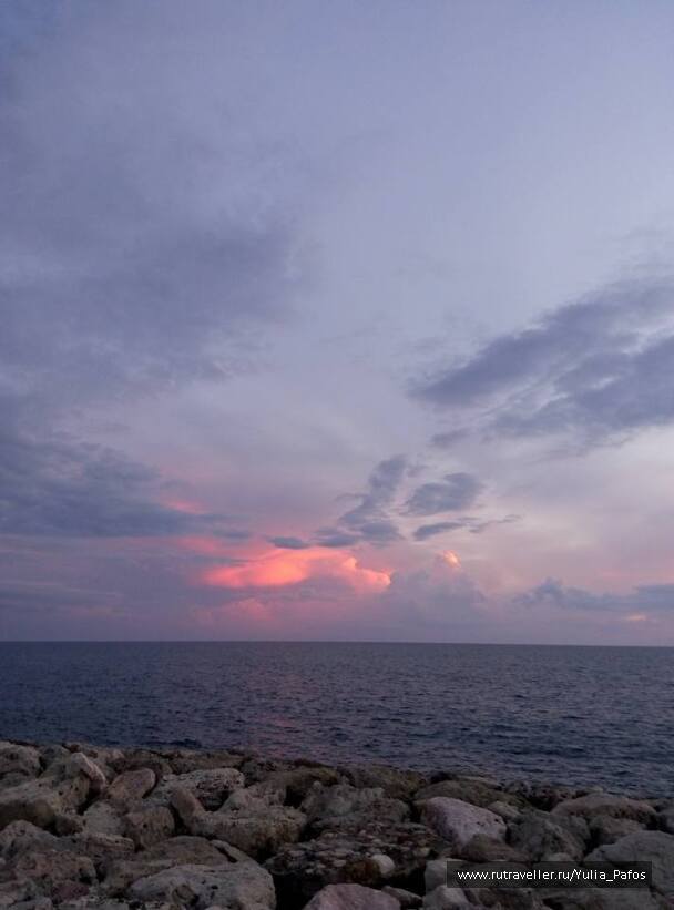 photo 1316538