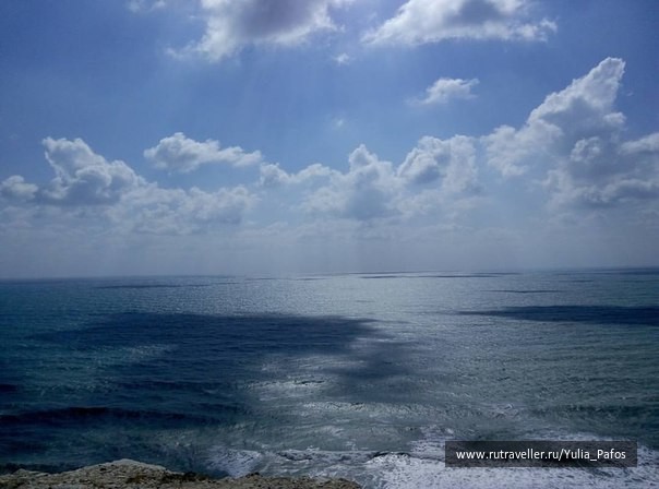 photo 1316540