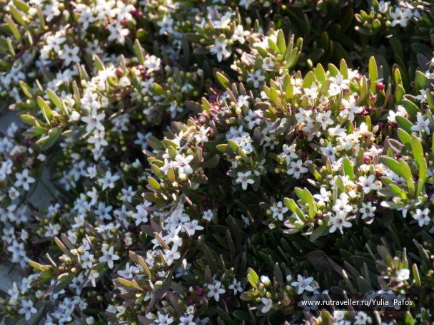 photo 1316546