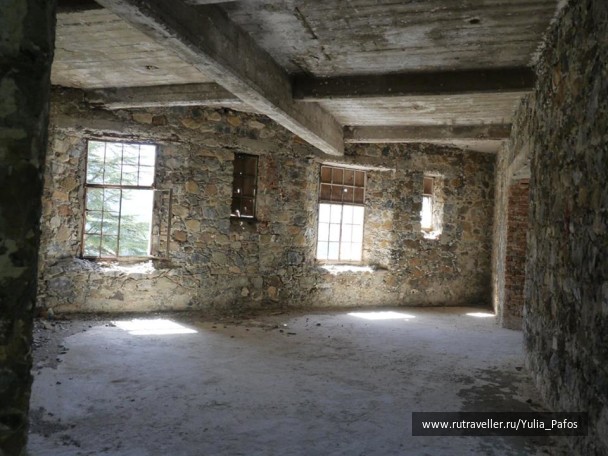 photo 1316817