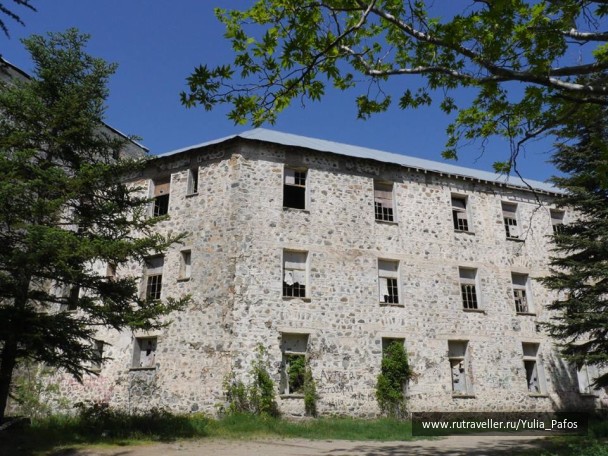 photo 1316820