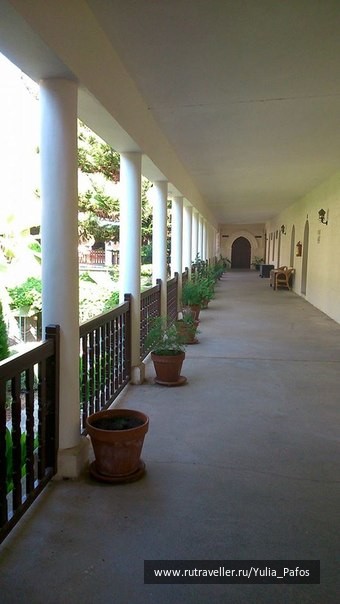 photo 1319690