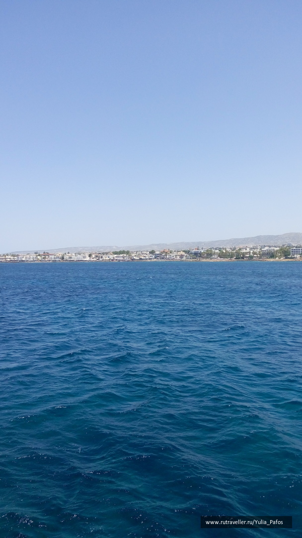 photo 1322882