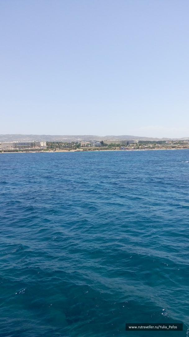 photo 1322883