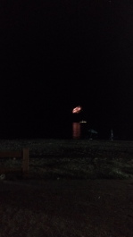 photo 1330786
