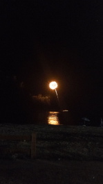 photo 1330790