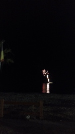 photo 1330792