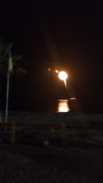 photo 1330793