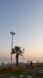 photo 1330796