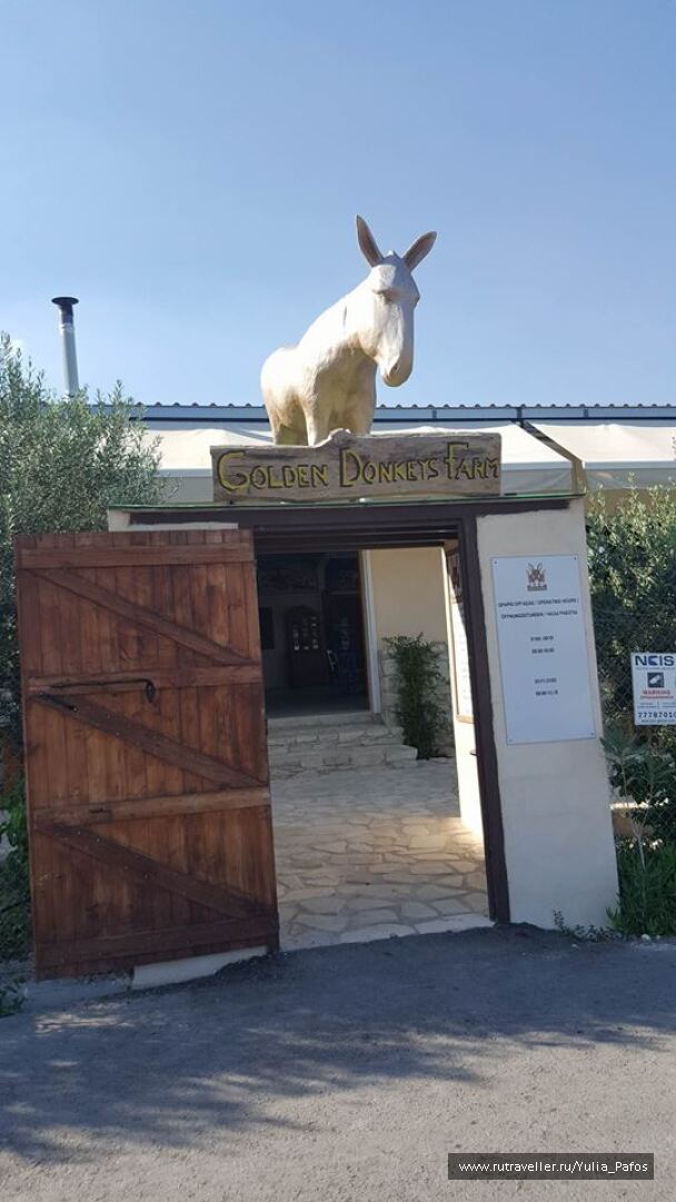 photo 1332976