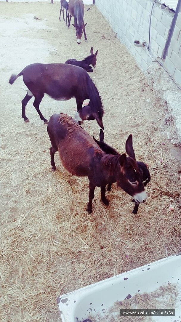 photo 1332997