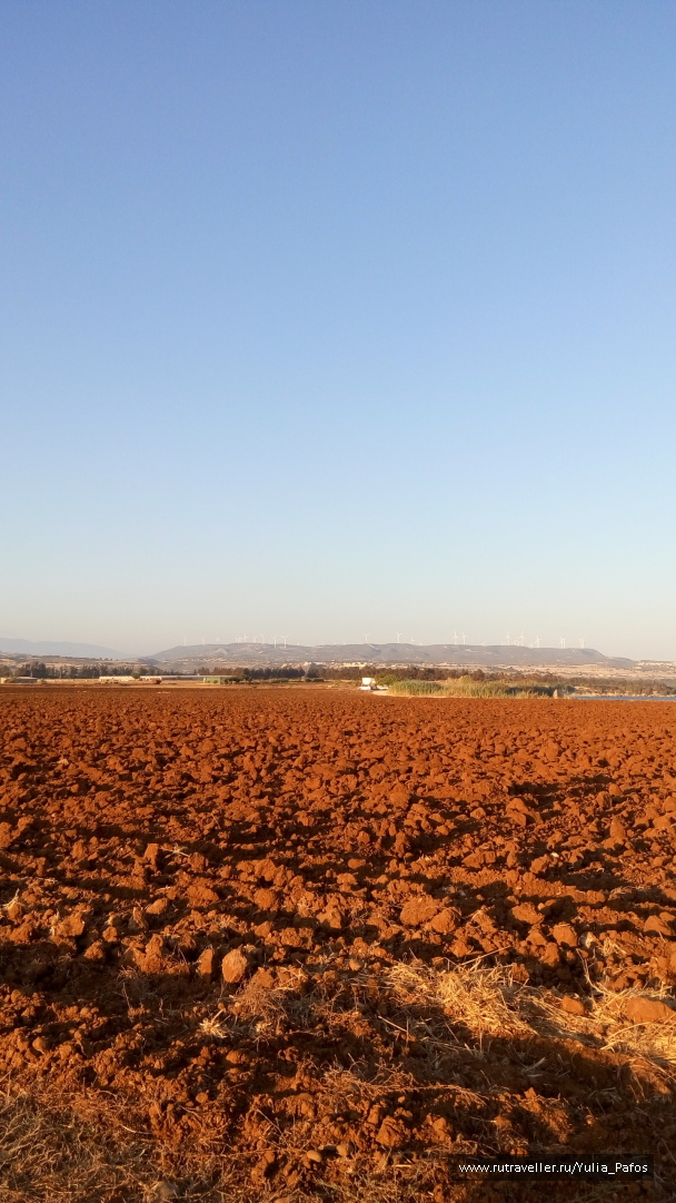 photo 1333247