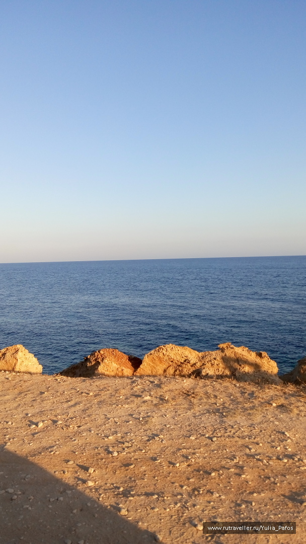 photo 1333248
