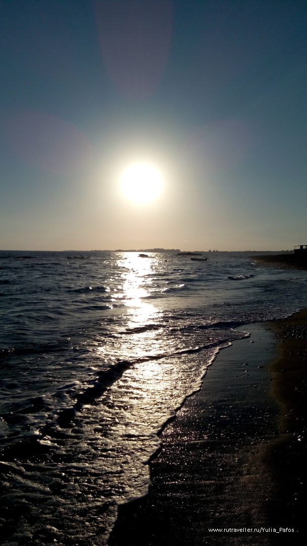 photo 1333253