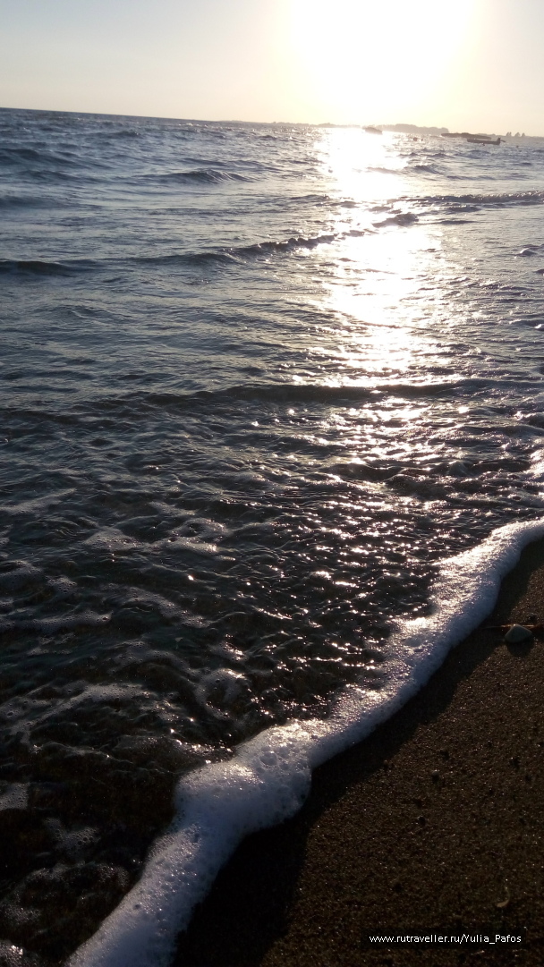 photo 1333254