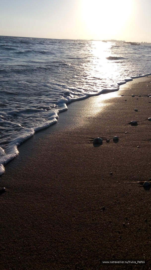 photo 1333255