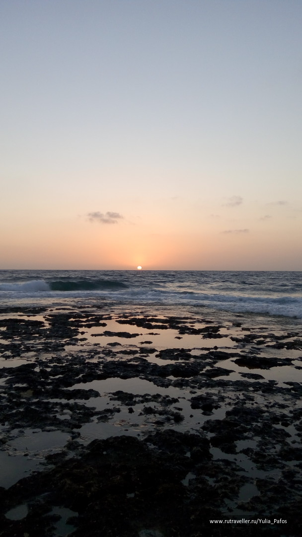 photo 1334544