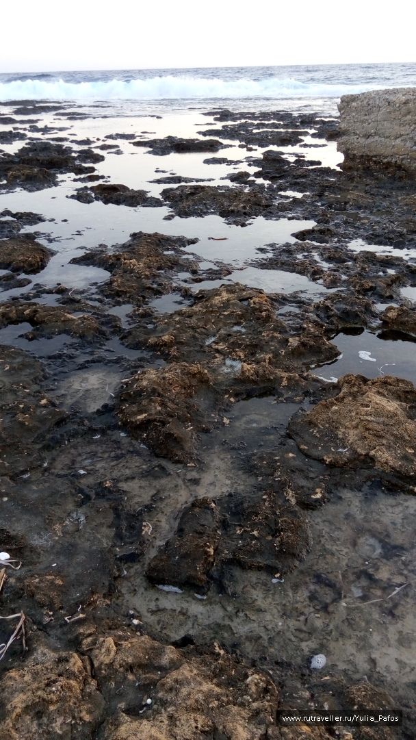 photo 1334546
