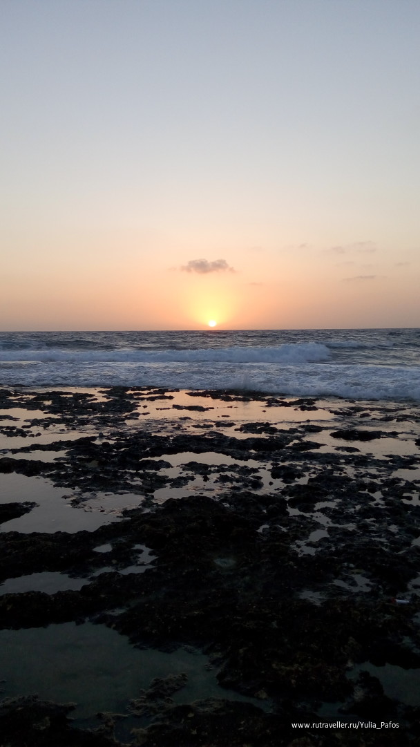 photo 1334548
