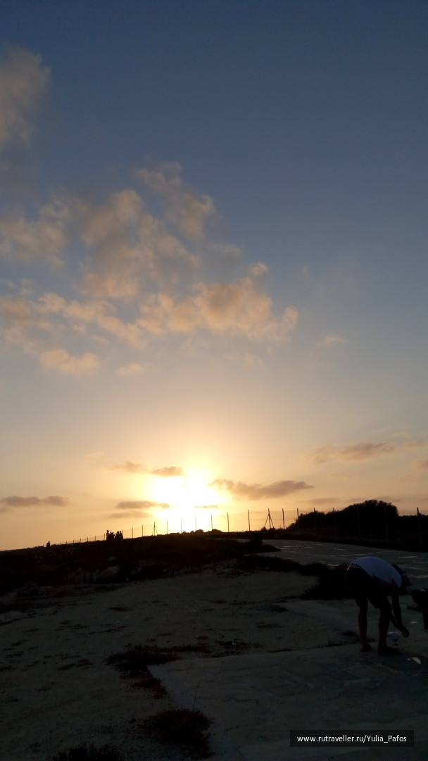 photo 1334563