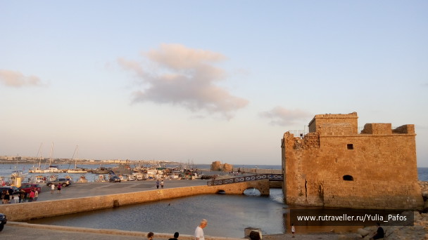 photo 1334566