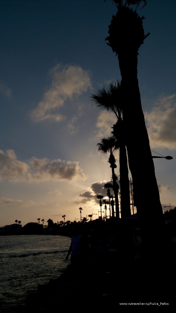 photo 1334569
