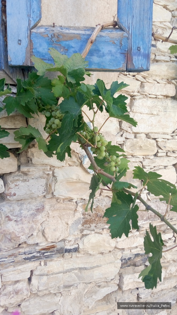 photo 1340905