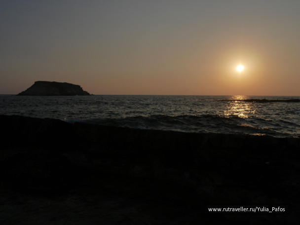 photo 1342405